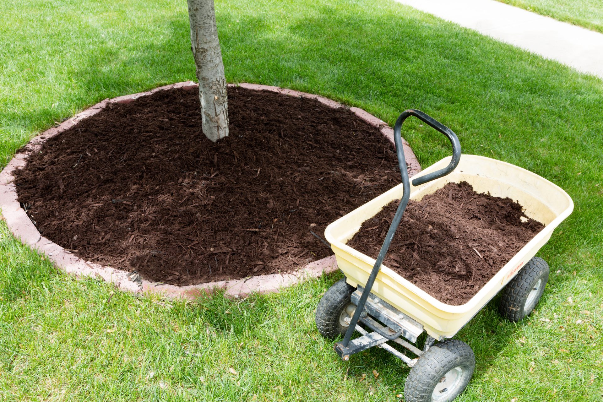 Mulch Delivering In Salt Lake City -What Is Mulch And How Can We Get IT?
