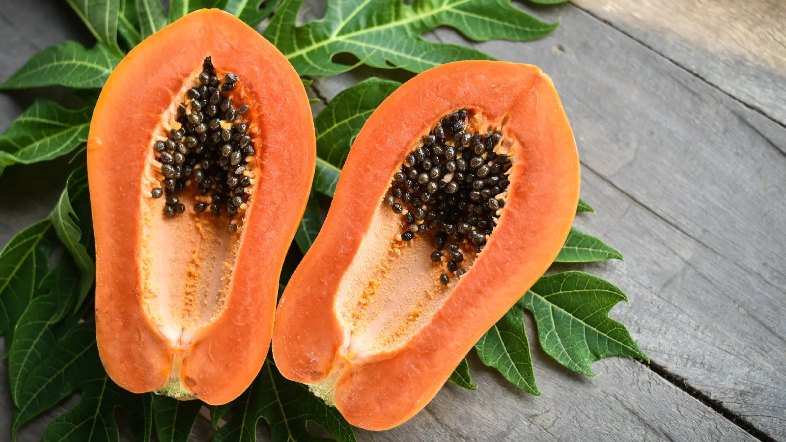 Amazing-Health-Benefits-Of-Papaya-Seeds-You-Must-Know