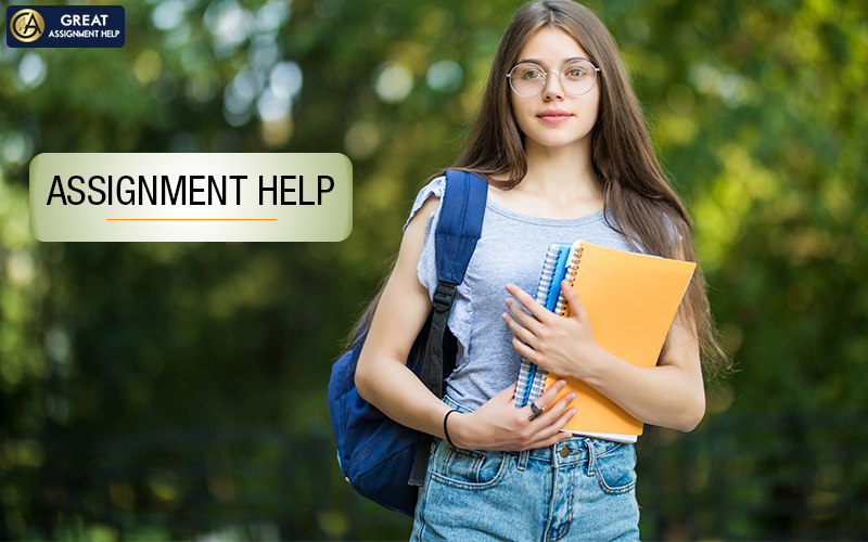Get Top Grades With Online Assignment Help USA’s Assignment Writers