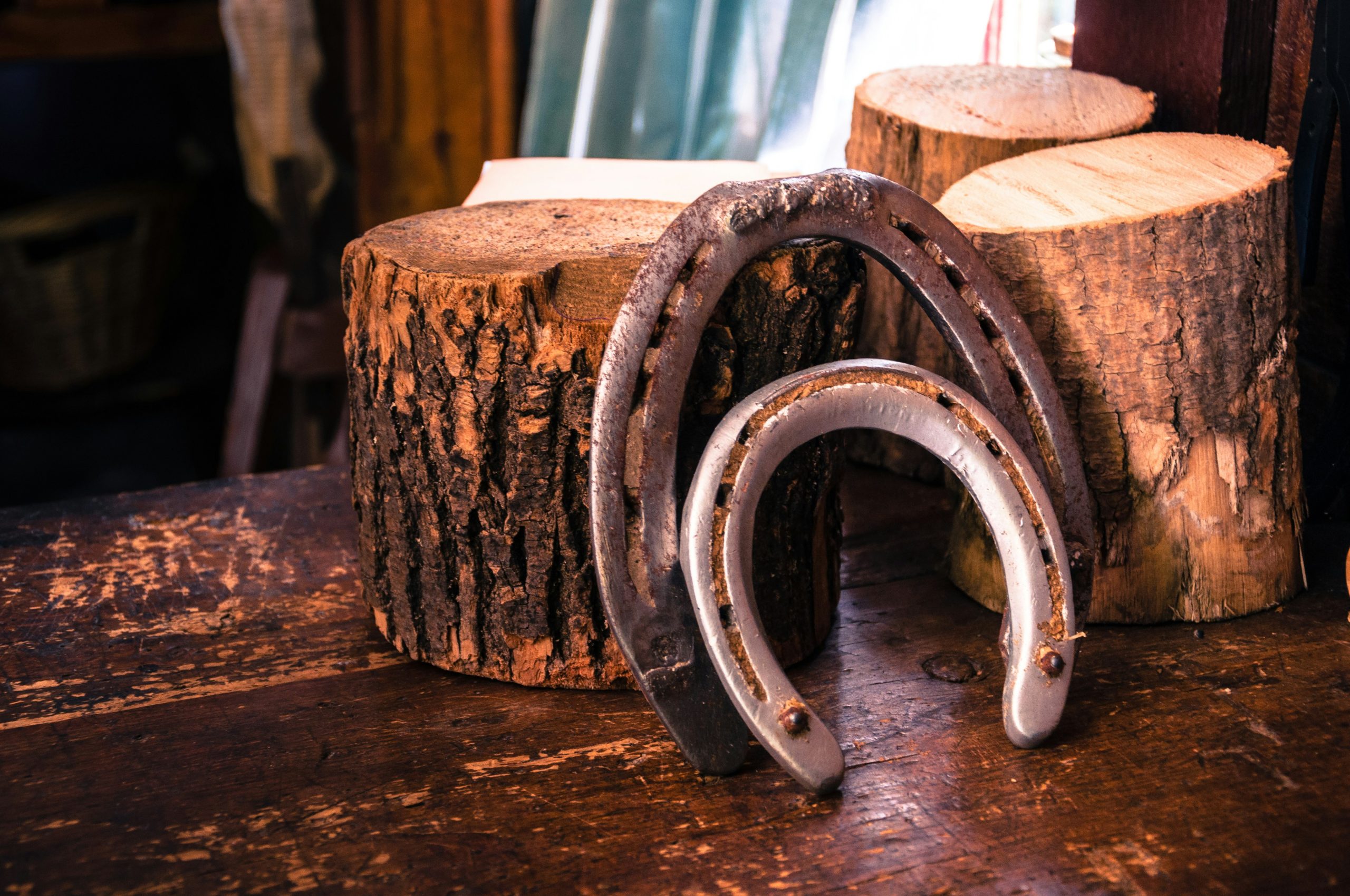 The Role of Quality Tools in Professional Horseshoeing