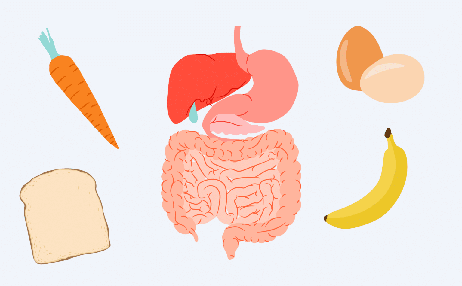 Sensitive Stomach Days - Choose Gentler Foods During Flareups